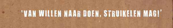 VIS_Van_willen_naar_doen